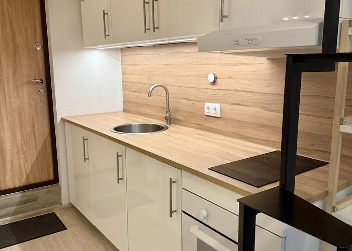 Cozy 2 Level Mini Loft In Appartement Vilnius