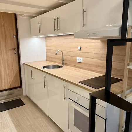 Cozy 2 Level Mini Loft In Апартаменти Вільнюс